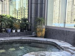 -弘安丽水温泉酒店