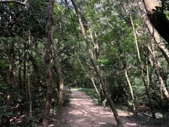 -梧桐山风景名胜区