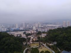 -金鸡山公园
