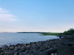 -吴淞炮台湾湿地森林公园烧烤区