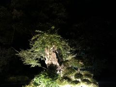 -南京东郊国宾馆