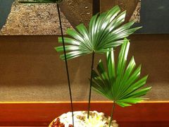 -双子塔酒店