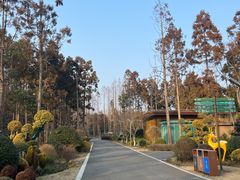 -东平国家森林公园