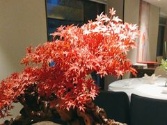 -顺峰(农展馆店)