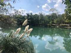 -贵阳市花溪国家城市湿地公园