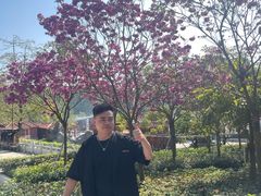 -南国桃园旅游度假区