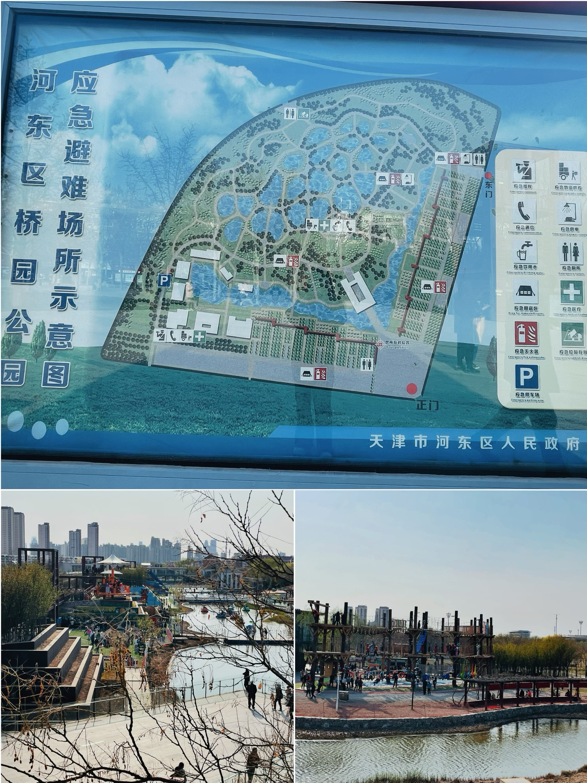 早就听说桥园公园是是天津最大的湿地公园