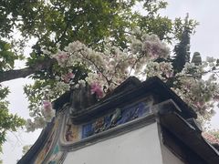 -深圳国际园林花卉博览园