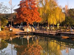 -浙江农林大学(东湖校区)