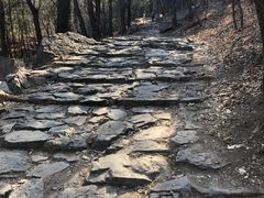 -阳台山自然风景区