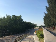 -宝安西湾红树林湿地公园