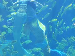 -华夏文旅西安度假区