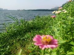 -艾溪湖湿地公园