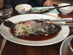 清蒸青斑鱼-上海柏悦酒店·世纪100牛排馆