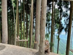 -太阳湾风景区