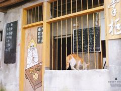 -山城巷传统风貌区