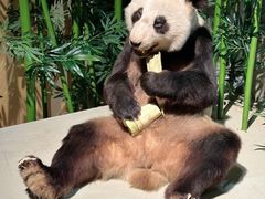 -深圳博物馆历史民俗馆