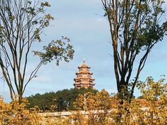 -铁山坪森林公园