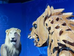 -国家自然博物馆