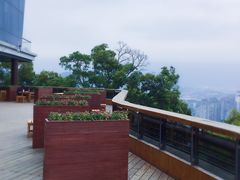 -金鸡山公园