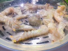 -77号渔船·蒸海鲜青岛菜(积米崖店)