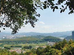 -泰康山生态旅游度假区