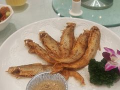 -金米箩大酒店(五角场店)