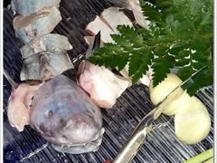 番茄锅+江团鱼-王家渡火锅(金宝汇店)
