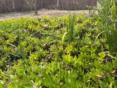 -大象粑粑造纸公园