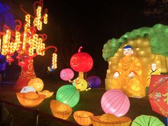 -武汉园博园(武汉自然博物馆)