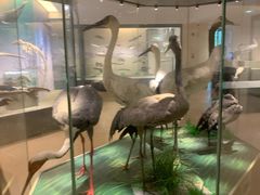 -南通博物苑-崇川人民公园