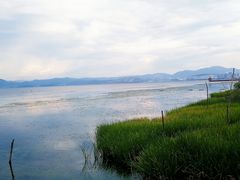 -洱海月湿地公园