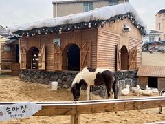 -HERRE·FARM 赫尔露营农场·团建聚会包场