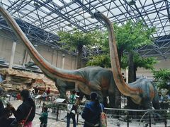 -国家自然博物馆