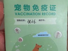 -佳雯宠物医院(金华南路分院)