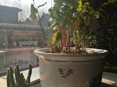 -伊隆斋(什刹海店)