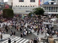 -涩谷区