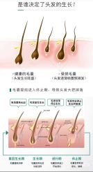 -Bollins波林丝•专研护发中心