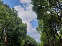 -方山风景区定林寺