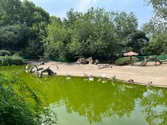 -红梅公园