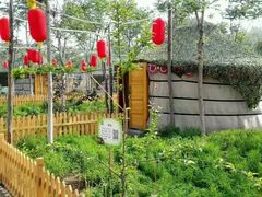 -草根堂农场