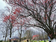 -云漫湖生态度假公园