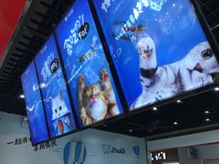 -开心猫无锡三阳广场店