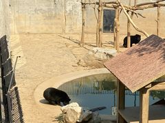 -石家庄市动物园