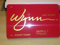 -拉斯维加斯永利酒店