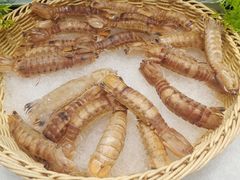 -非烤勿扰自助烤肉(东坑四季广场店)