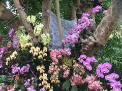 -北京植物园-展览温室