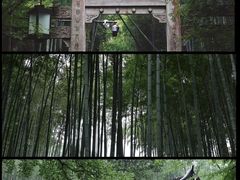 -云栖竹径