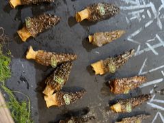 -一朵菌·野生菌探索家火锅(南亚店)