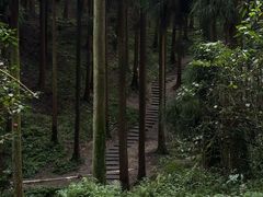 -海窝子古镇